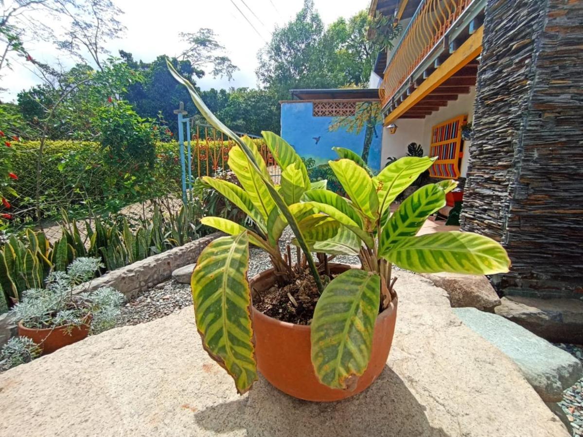 Casa De Las Rocas Hostel 하르딘 외부 사진